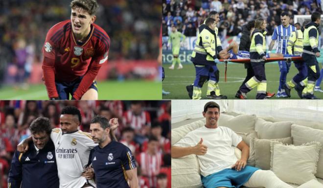 良鹈鹕队展 良鹈鹕队展